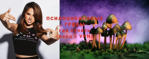 a pvp Белоозёрский