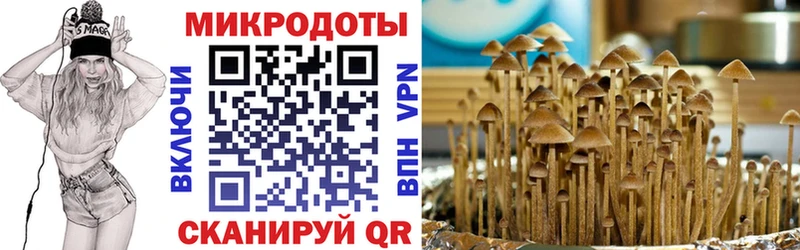 Псилоцибиновые грибы мухоморы  Шацк 
